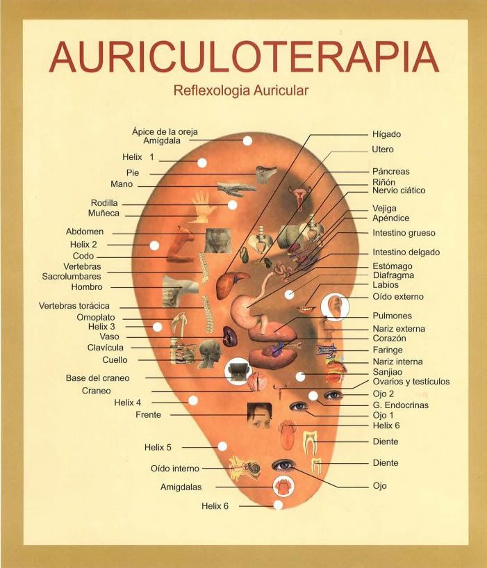 Auriculoterapia